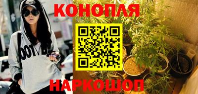 каннабис Будённовск
