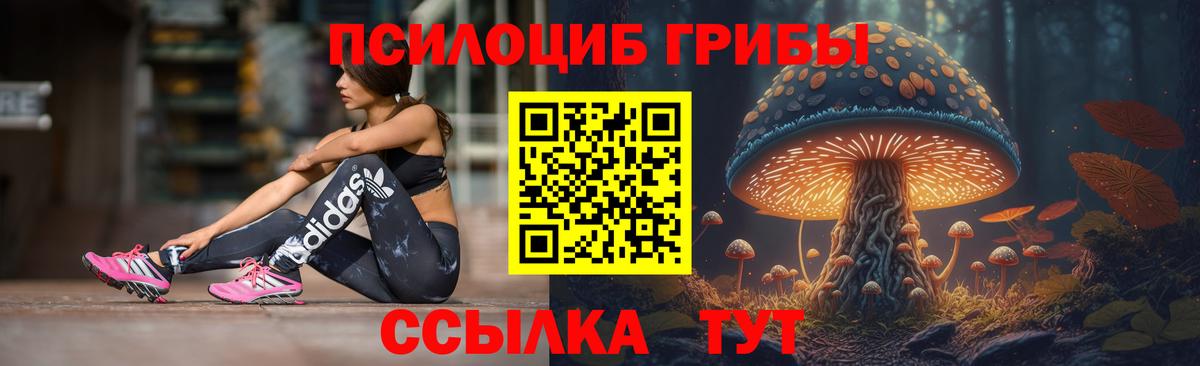 Псилоцибиновые грибы GOLDEN TEACHER  Вход с VPN  Нарткала 